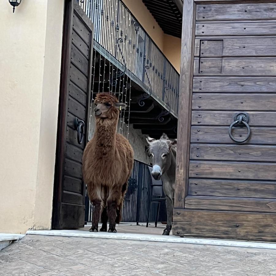 Borgo Incantato Spoleto Pompagnano Exteriér fotografie
